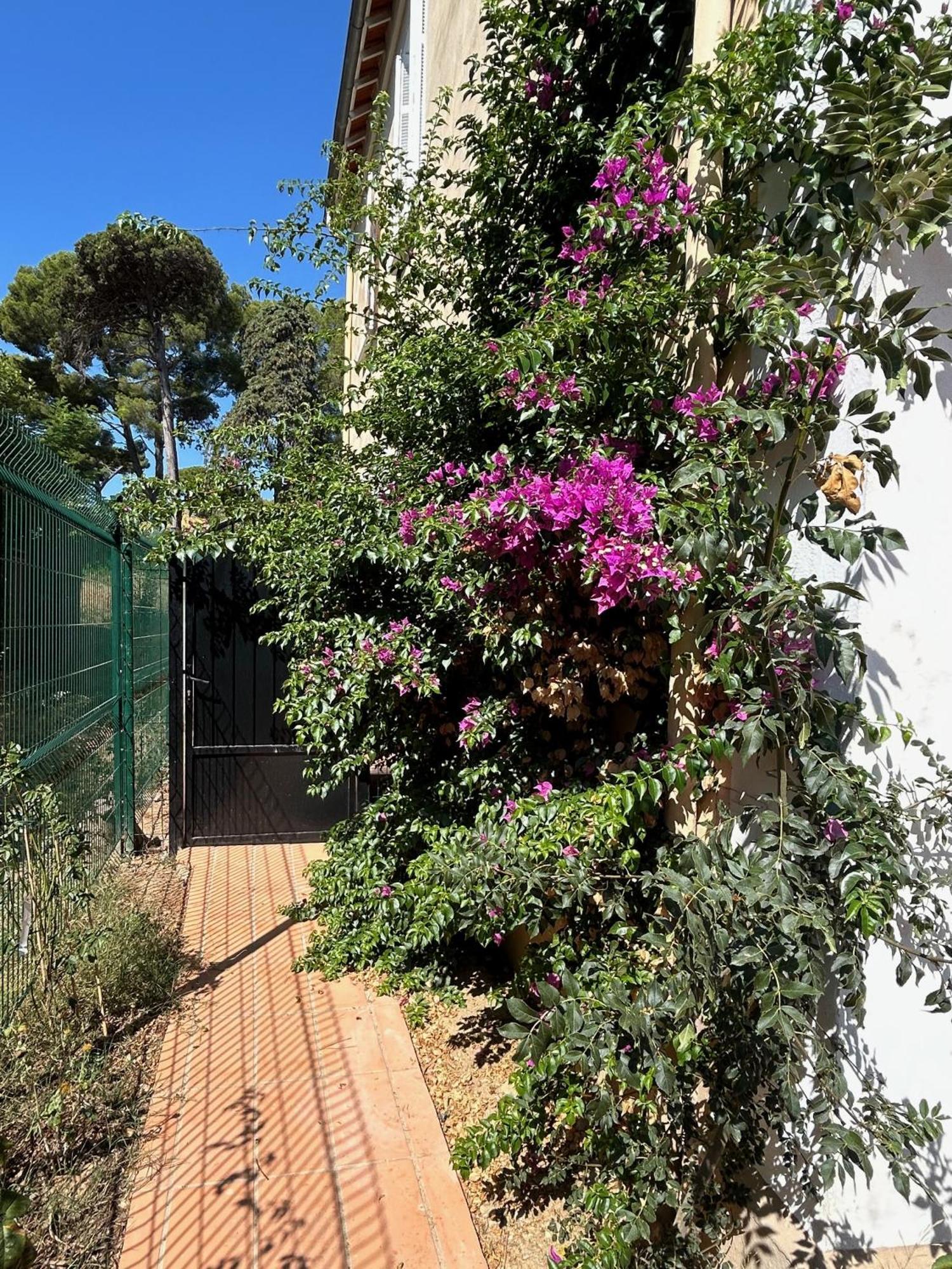 Villa Les Lys 2 La Seyne-sur-Mer Exterior foto